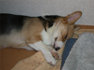 ���ڌ����Ă܂�